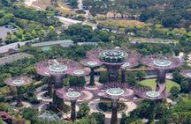 Singapore Private Car Tour with Licensed Guide: Day or Night