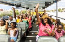 Bus That Drives Into the Sea Unique Curaçao Amphibious Tour