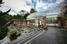 Private Tour - An intro to Auckland - The lay of the land
