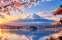From Tokyo/Yokohama Mount Fuji & Ice Cave Day Tour