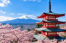 From Tokyo/Yokohama Mount Fuji & Ice Cave Day Tour