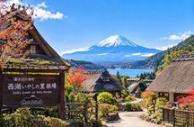 From Tokyo/Yokohama Mount Fuji & Ice Cave Day Tour