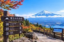 From Tokyo/Yokohama Mount Fuji & Ice Cave Day Tour