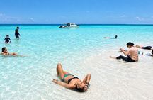 Saona Island Speedboat Tour from Punta Cana + Natural Pool