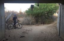 San Jose del Cabo Desert Mountain Biking Tour