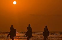 Horseback Riding Muscat Beach