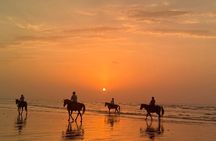 Horseback Riding Muscat Beach