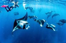 Bali: Nusa Penida Private Boat Snorkeling & Land Tour