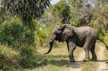 2 Days Tarangire and Ngorongoro Mid Range Group Safari