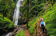 Arusha to Materuni Waterfalls and Coffee Culture Experience