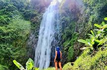 Arusha to Materuni Waterfalls and Coffee Culture Experience