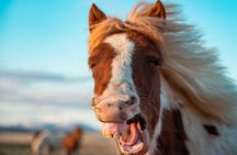 Golden Circle Tour, Horses and Blue Lagoon or Sky Lagoon