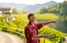 Prosecco DOCG tasting in Combai with walk and platter