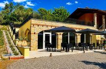 AperiOLIO: Among the Olive Groves of Lake Garda with Gourmet