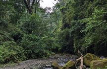 Napuru Waterfall Hiking Experience in Arusha