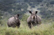 2-Day Akagera Wildlife Safari & Sunset Boat Cruise