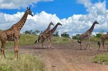 2-Day Akagera Wildlife Safari & Sunset Boat Cruise
