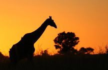 2-Day Akagera Wildlife Safari & Sunset Boat Cruise