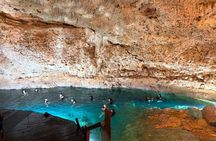 Deluxe Tour! Tulum Ruins, Coba and Cenote Xikbal from Tulum City