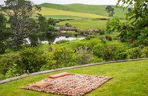 Hobbiton Behind The Scenes Experience Private Tour From Auckland