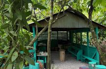 PRIVATE TOUR | Beyond the Resort: Local Life & Hidden Gems