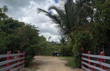 PRIVATE TOUR | Beyond the Resort: Local Life & Hidden Gems