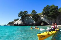 Full Day Kayak Experience