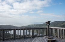 Private Full Day Tour of Auckland from Coast to Coast