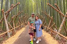 Kyoto Private 10H Customizable Highlights Tour