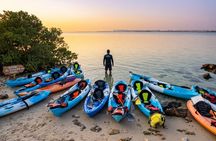 Al Thakira Mangrove Kayaking Tour – Purple Island, Qatar