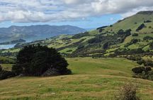 From Christchurch Akaroa and Banks Peninsula Private Tour