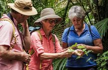 Waiheke Island Private History and Heritage Tour