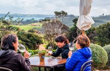 Private Personalised Tour in Waiheke Island