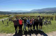 Yarra Valley Rail Trail e-Bike Adventure eXperience, Wine & Lunch