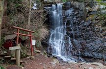 Mt. Fuji and Hakone Private Tour with Luxury Vehicle