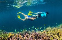 Lombok Hidden Gili East Lombok Private Snorkeling Tour