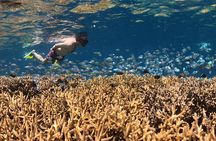 Lombok Hidden Gili East Lombok Private Snorkeling Tour