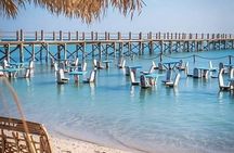 Hurghada 3-in-1 Sea Trip Dolphin, Island, 2Snorkel & Lunch&Drinks