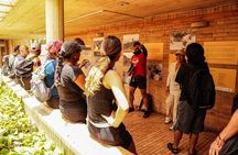 Comuna 4 Walking Tour Medellin