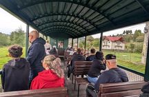 Bucovina Experience: Steam Train, Egg Museum, Monastery