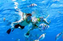 3 Zipline Adventure and 3.5 hour Afternoon Snorkel Cruise