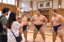 Tokyo: Authentic sumo, not a show with English Guide