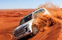 Dubai Desert Safari: Camel Falcon Sandbording & Premium dinner