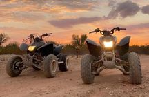 Premium Desert Safari with Camel Ride, Sandboard Dinner with BBQ