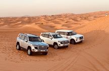 Dubai Desert Safari: Camel Falcon Sandbording & Premium dinner