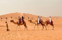 Dubai Desert Safari: Camel Falcon Sandbording & Premium dinner