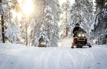 Snowmobile Safari to the Wilderness with Lunch