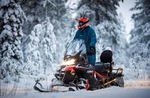 Snowmobile Safari to the Wilderness with Lunch