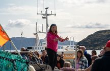 North Cape Sightseeing: Local Villages, Sami Culture, King Crabs!