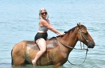 Horseback Riding in Puerto Plata Beach and Caribbean Views